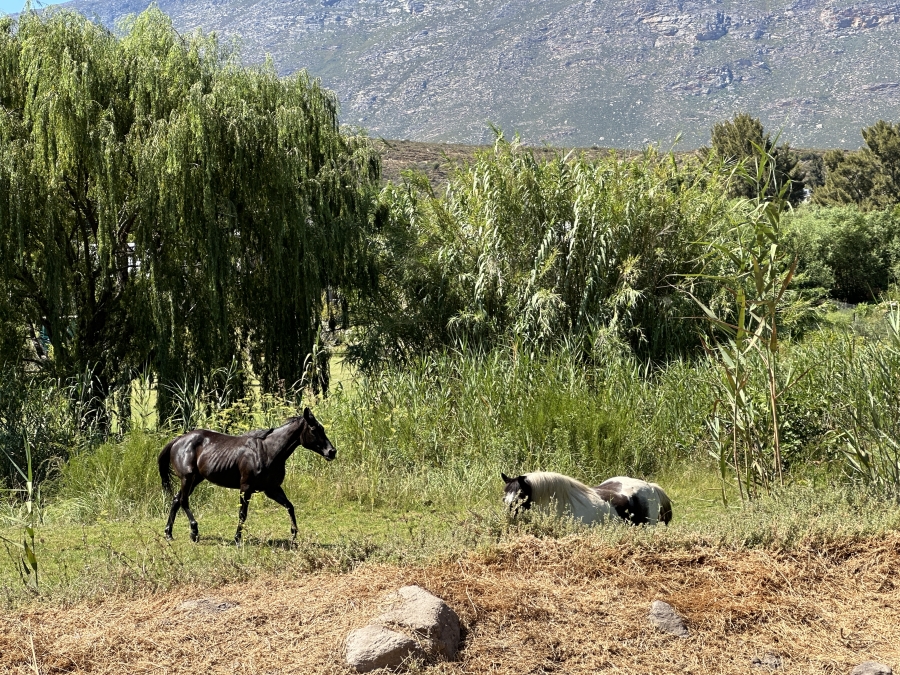 0 Bedroom Property for Sale in Barrydale Western Cape